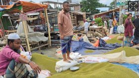 জাপান, অস্ট্রেলিয়া ও কোরিয়া যাচ্ছে পটুয়াখালীর মুগ ডাল