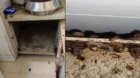 ভোলা জেনারেল হাসপাতাল যেন ছাড়পোকার আভাস স্থল