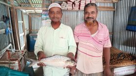 মেঘনায় ধরা পড়ল ২ কেজির ইলিশ, সাড়ে ৬ হাজারে বিক্রি