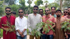 পিরোজপুরে ছাত্রদলের বৃক্ষরোপণ