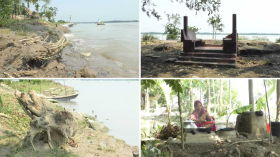 পায়রার পাড়ে প্রতিদিনই চলছে বাঁচার লড়াই