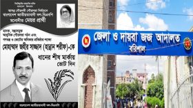 গৌরনদী পৌরসভার মেয়র ঘোষণার দাবিতে বিএনপি’র প্রার্থীর মামলা