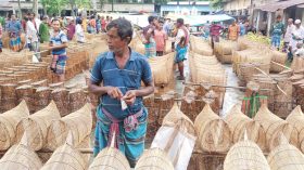 জমে উঠেছে মাছ ধরা চাই’র হাট
