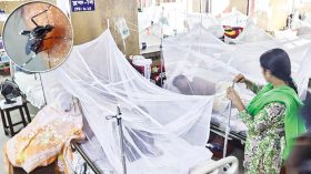 সারাদেশে ২৪৪ জনের ডেঙ্গু শনাক্ত, ১৩৮ জনই বরিশালের