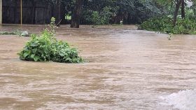 বরিশাল বিভাগসহ ২১ জেলায় পানিতে ডুবেছে ৭২ হাজার হেক্টর জমির ফসল