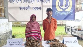 তালতলীতে ৪ কেজি গাঁজাসহ দুই মাদক ব্যবসায়ী আটক