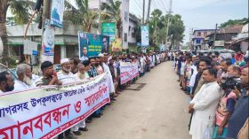 পাথরঘাটায় অবৈধ কাঠের ট্রলিং বন্ধের দাবিতে মানববন্ধন