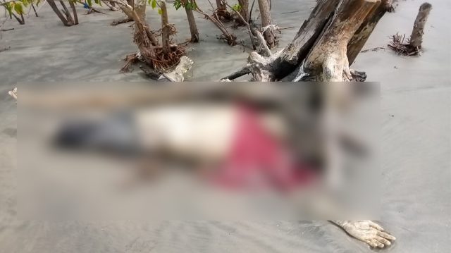 ভোলায় জিওব্যাগ ধসে নিখোঁজ বিজিবি সদস্যর লাশ উদ্ধার