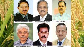 বরিশালে কেন্দ্রভিত্তিক ফলে এগিয়ে বিএনপি প্রার্থীরা