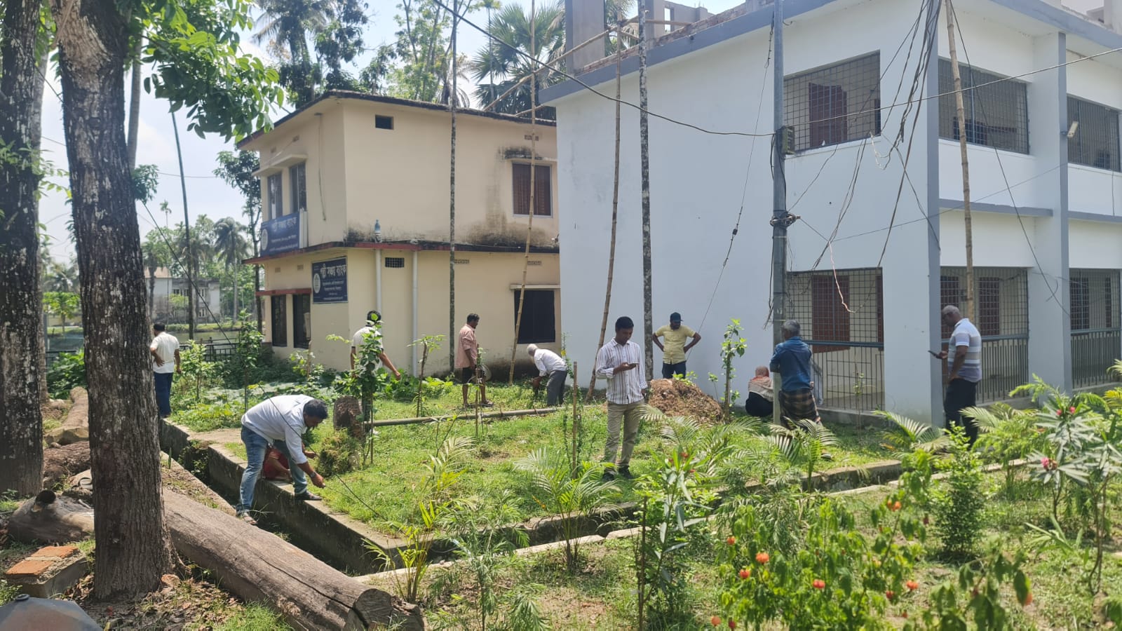 ‎পিরোজপুরে পরিচ্ছন্নতা ও সৌন্দর্যবর্ধন কার্যক্রম