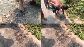 পটুয়াখালীতে হাতের খোঁচায় উঠে আসছে সড়কের কার্পেটিং