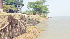 উপকূলজুড়ে নদী ভাঙনের তাণ্ডব