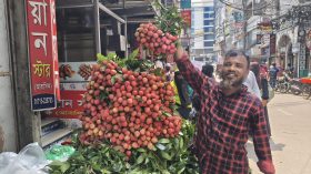 মধুমাসে বরিশালের বাজারে রসালো লিচুর আমেজ, স্বাদে মুগ্ধ ক্রেতা, দামে অসন্তোষ