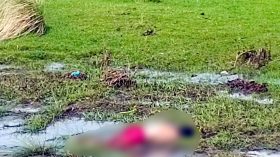 করাবনাবাদ নদীর তীর থেকে অজ্ঞাত নারীর লাশ উদ্ধার