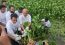 পিরোজপুরে সপ্তাহব্যাপী পরিচ্ছন্নতা অভিযান শুরু