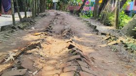 দুই যুগেও সংস্কার হয়নি সিংহেরকাঠি-ছোট মীরগঞ্জ সড়ক, দুর্ভোগ