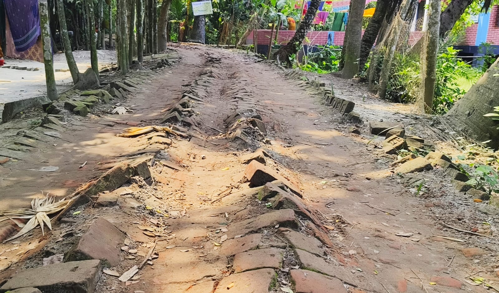 দুই যুগেও সংস্কার হয়নি সিংহেরকাঠি-ছোট মীরগঞ্জ সড়ক, দুর্ভোগ