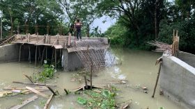 গৌরনদীতে ঢালাইয়ের পরই ধ্বসে পরলো ব্রীজের পাটাতন