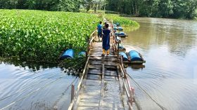 কলাপাড়ায় ৬ বছর ধরে ভাসমান সেতুতে ঝুঁকিপূর্ণ পারাপার