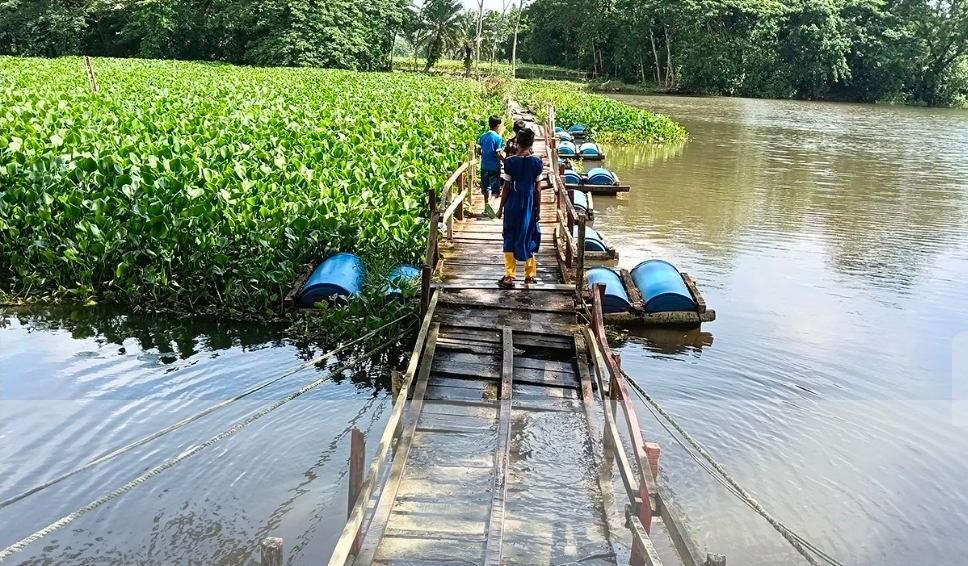 কলাপাড়ায় ৬ বছর ধরে ভাসমান সেতুতে ঝুঁকিপূর্ণ পারাপার