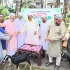 বরিশালে আত্মকর্মসংস্থানের লক্ষে জামায়াতের উদ্যোগে ছাগল বিতরণ