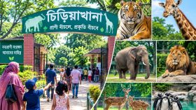 বরিশালে ৩৩ বছরেও হয়নি চিড়িয়াখানা নির্মাণ, বিনোদন সংকটে শিশু-কিশোর