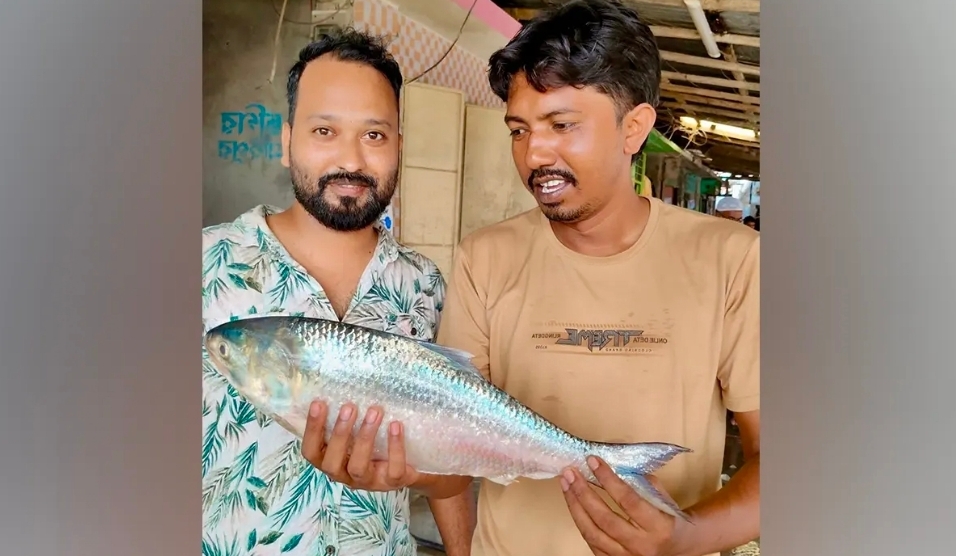 মহিপুরে ১ কেজি ৯০০ গ্রাম ইলিশ বিক্রি সাড়ে ৬ হাজার টাকায়