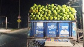দক্ষিণাঞ্চলের অর্থনীতিতে প্রভাব ফেলছে চরফ্যাশনের ডাব
