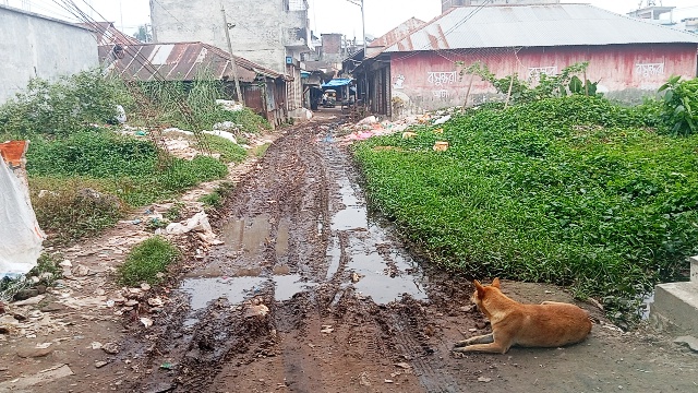 বানারীপাড়ার আলু পট্টিতে ময়লার ভাগাড়, ভোগান্তিতে ব্যবসায়ী ও পথচারী